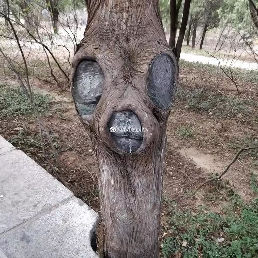 网友偷拍28张奇奇怪怪的照片每一张都令人难以理解