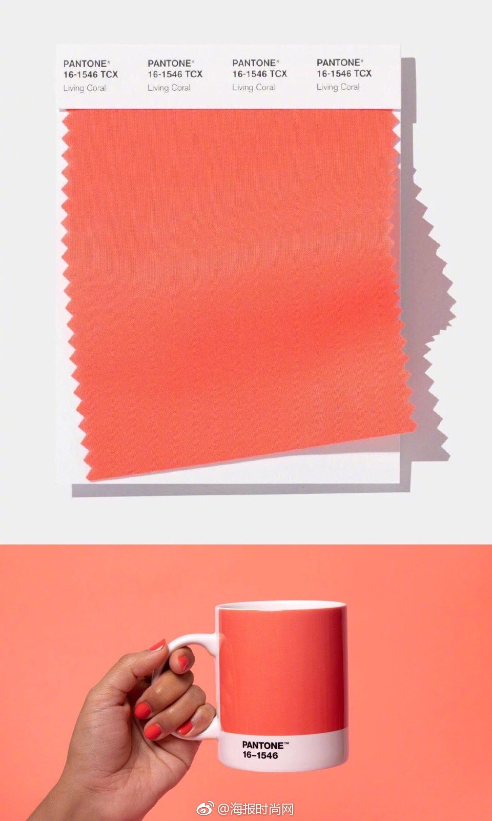 潘通pantone发布了2019年度流行色珊瑚红livingcoral