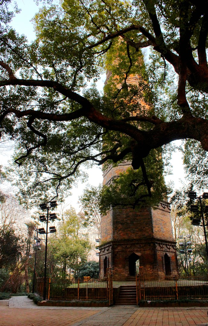 千年古塔的缩影——访浦江龙德寺塔