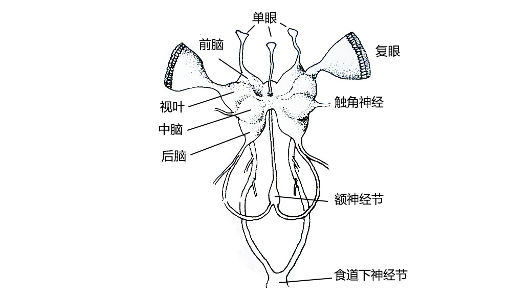 小程序元一辈子的算计