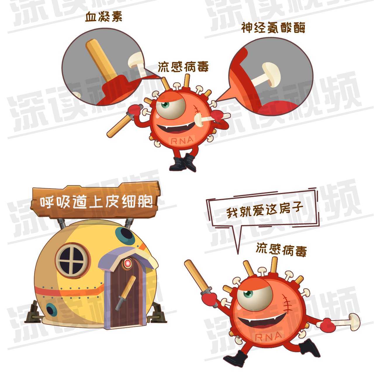 华仔因它取消7场演唱会,流感高发季,流感病毒界传来新消息