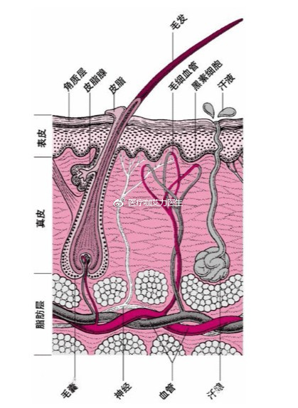 如何自我检测脱发异常与否