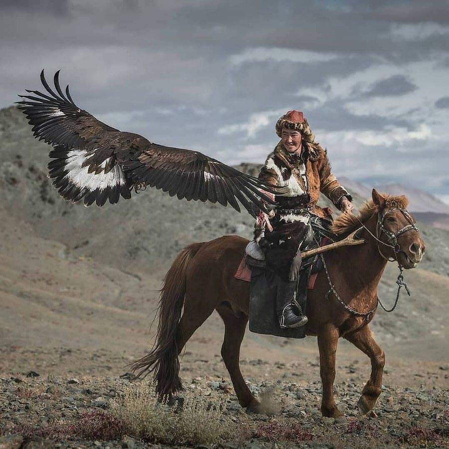 最后的蒙古驯鹰人07