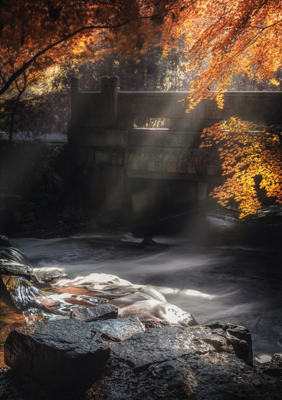 在放松中开朗在淡然中恬静