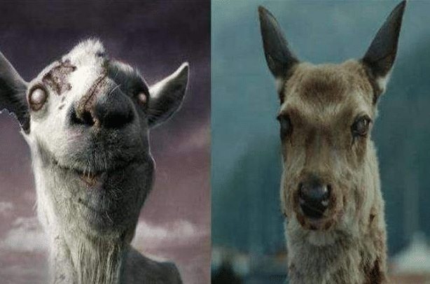 釜山行病毒元凶出现2次其实不是鹿观众看了10遍才发现