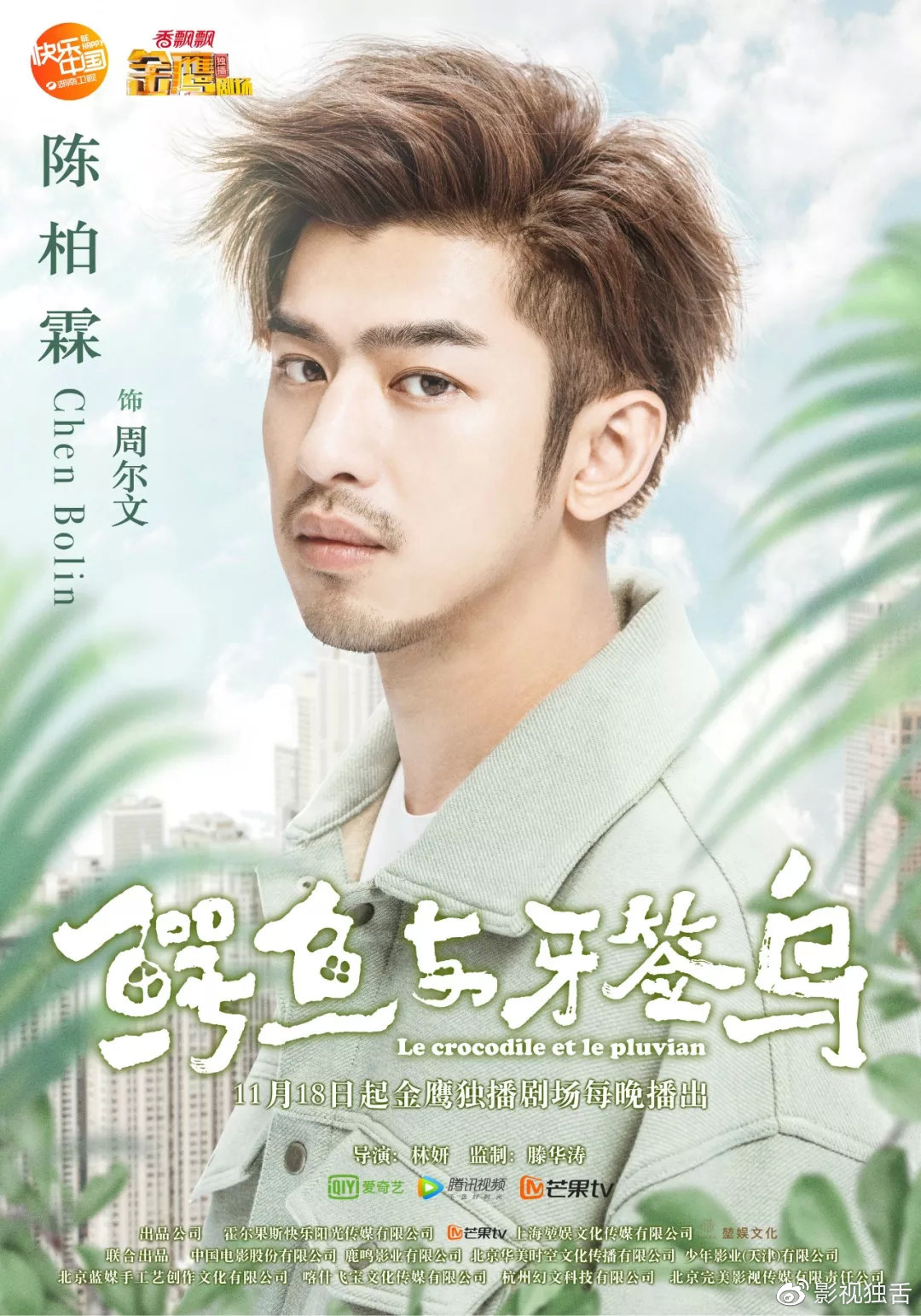 共生的鳄鱼与牙签鸟隐喻95后的情感观更藏着生态叙事的新门道