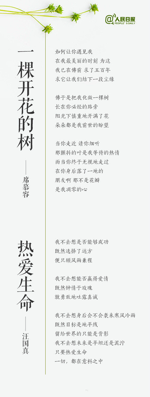 14首经典现代诗,带你重温诗歌之美