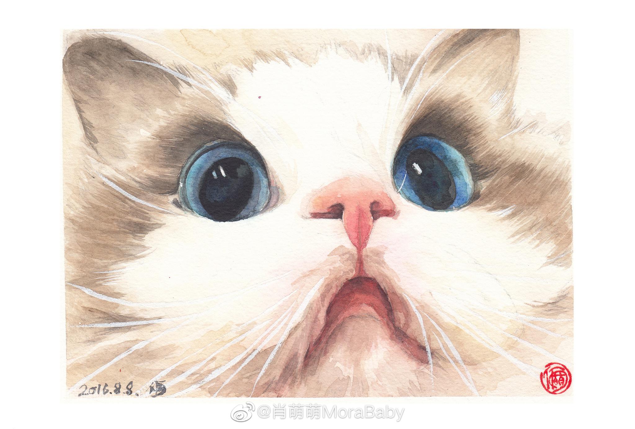 萌萌的猫咪眼睛各有各的微表情作者
