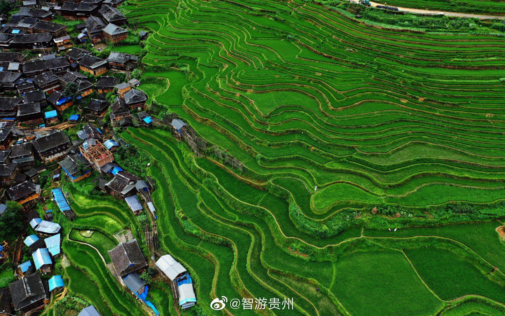 贵州黔东南加榜梯田的风吹着很舒服时逢贵州雨季来旅游的人很少