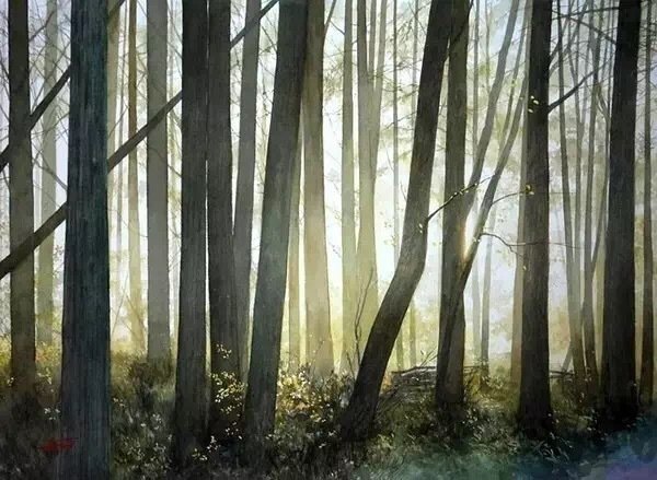 弹奏阳光的画家 . 阿部智幸 水彩