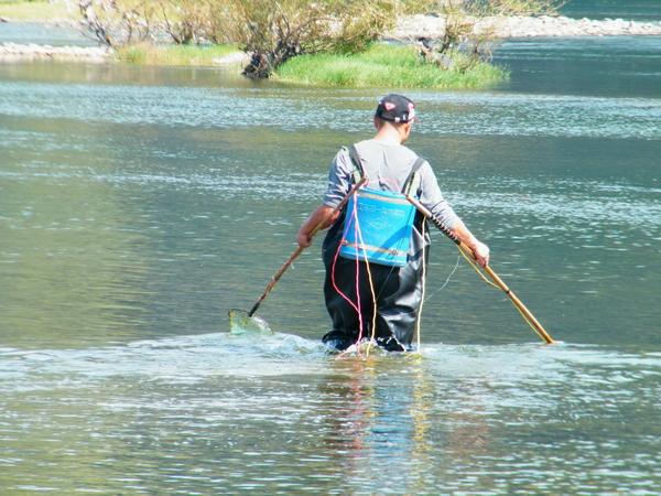 在农村半夜有人在鱼塘电鱼,该怎么防范?他们犯法吗?