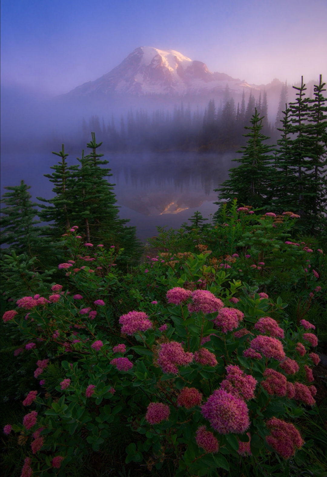 在放松中开朗在淡然中恬静