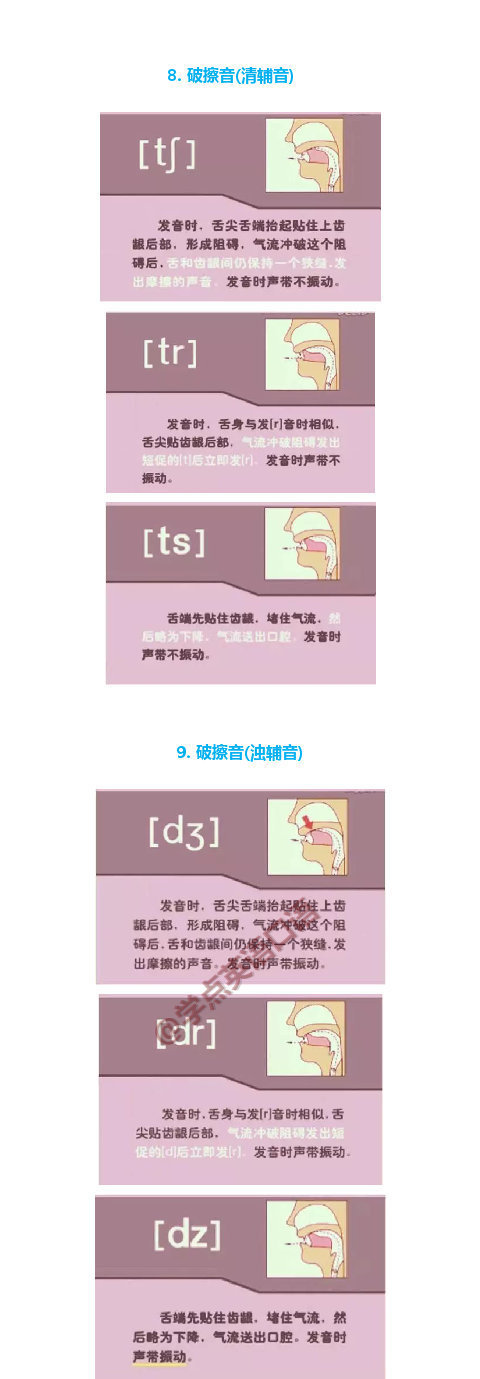 英语音标发音图解|音标|发音|树状|舌头|记忆_新浪新闻