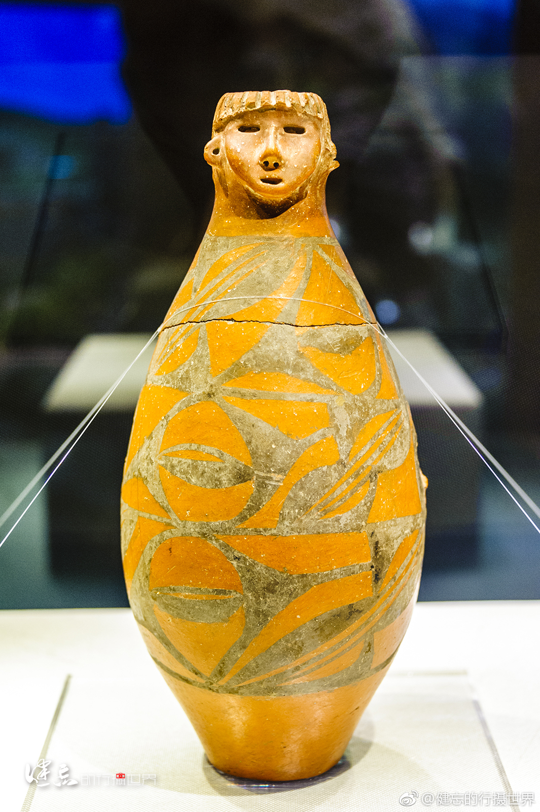 大熊猫怎么成为国宝的？为什么比它更珍稀的动物，却非...