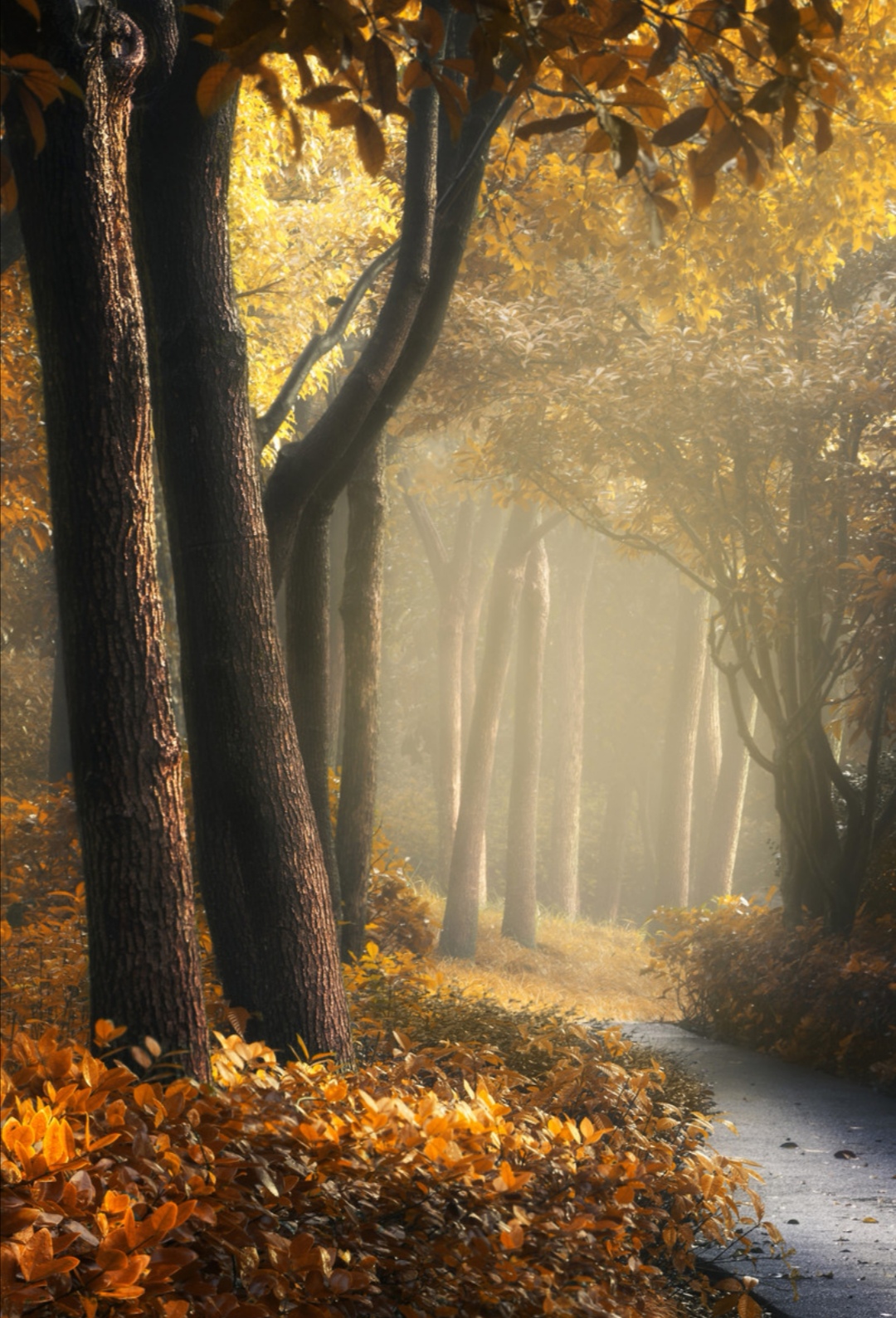 在放松中开朗在淡然中恬静