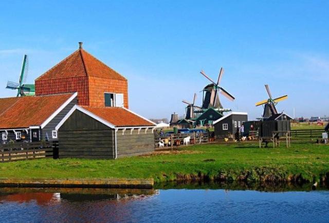 高度发达的荷兰农村是怎样的?游客纷纷感慨:没对比就没伤害!