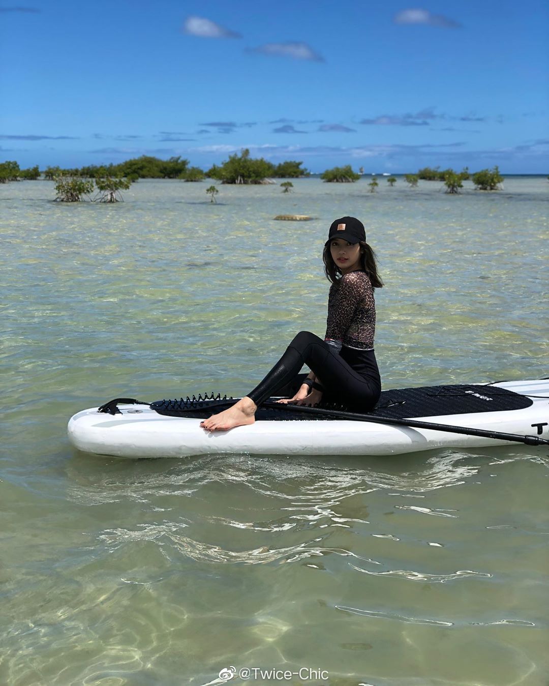 lisa夏威夷paddleboard上的婀娜莎莎