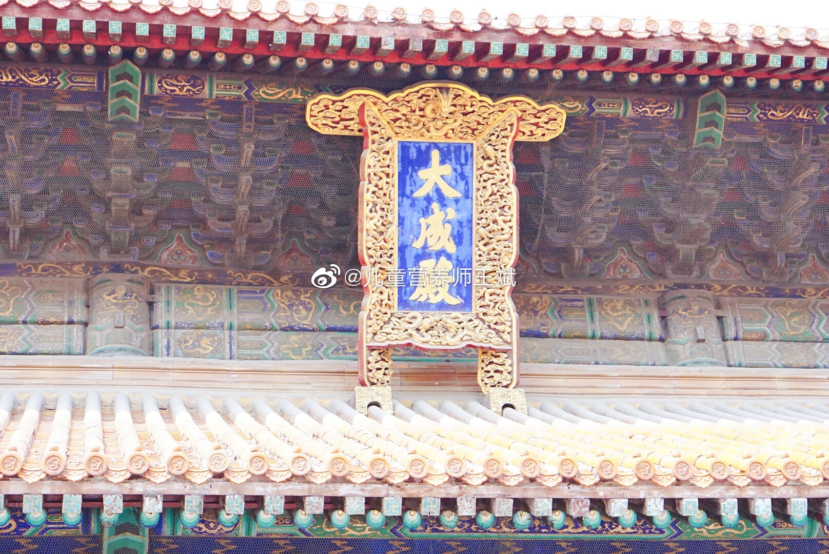 51风楼阁到底是什么神仙平台？