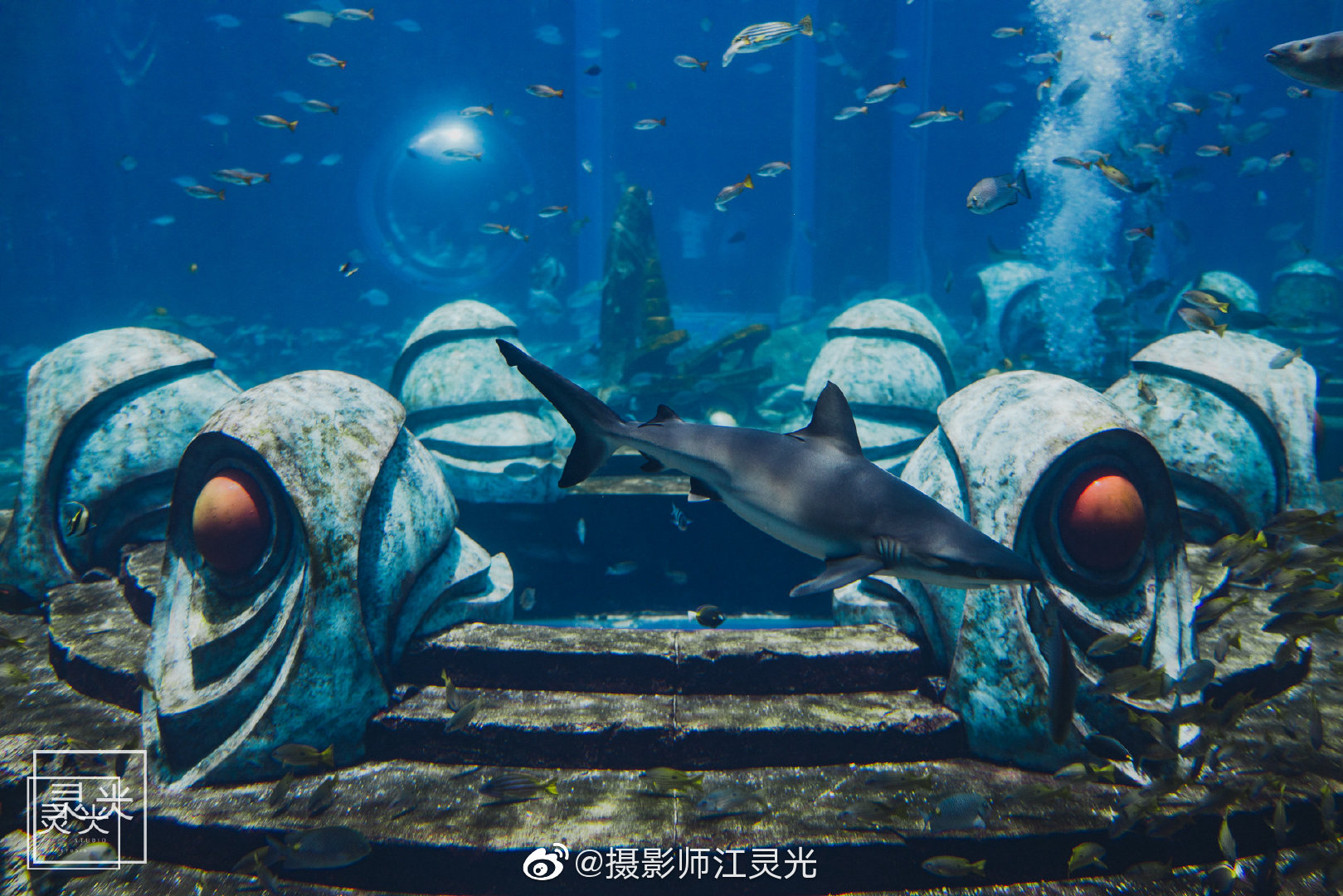 我住的这个是"尼普顿水底套房"分为上下两层