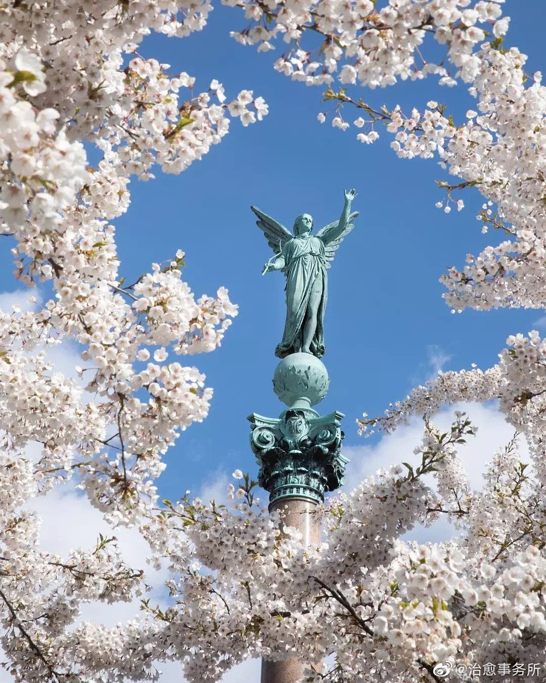 框架式构图|藏不住的小确幸