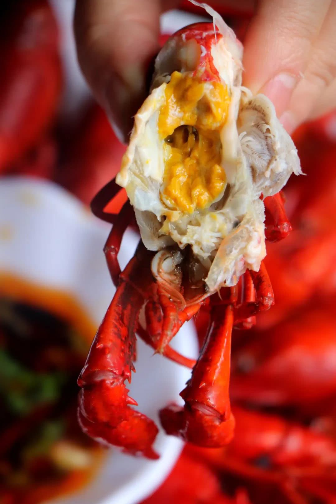 2019年第1波小龙虾安排上