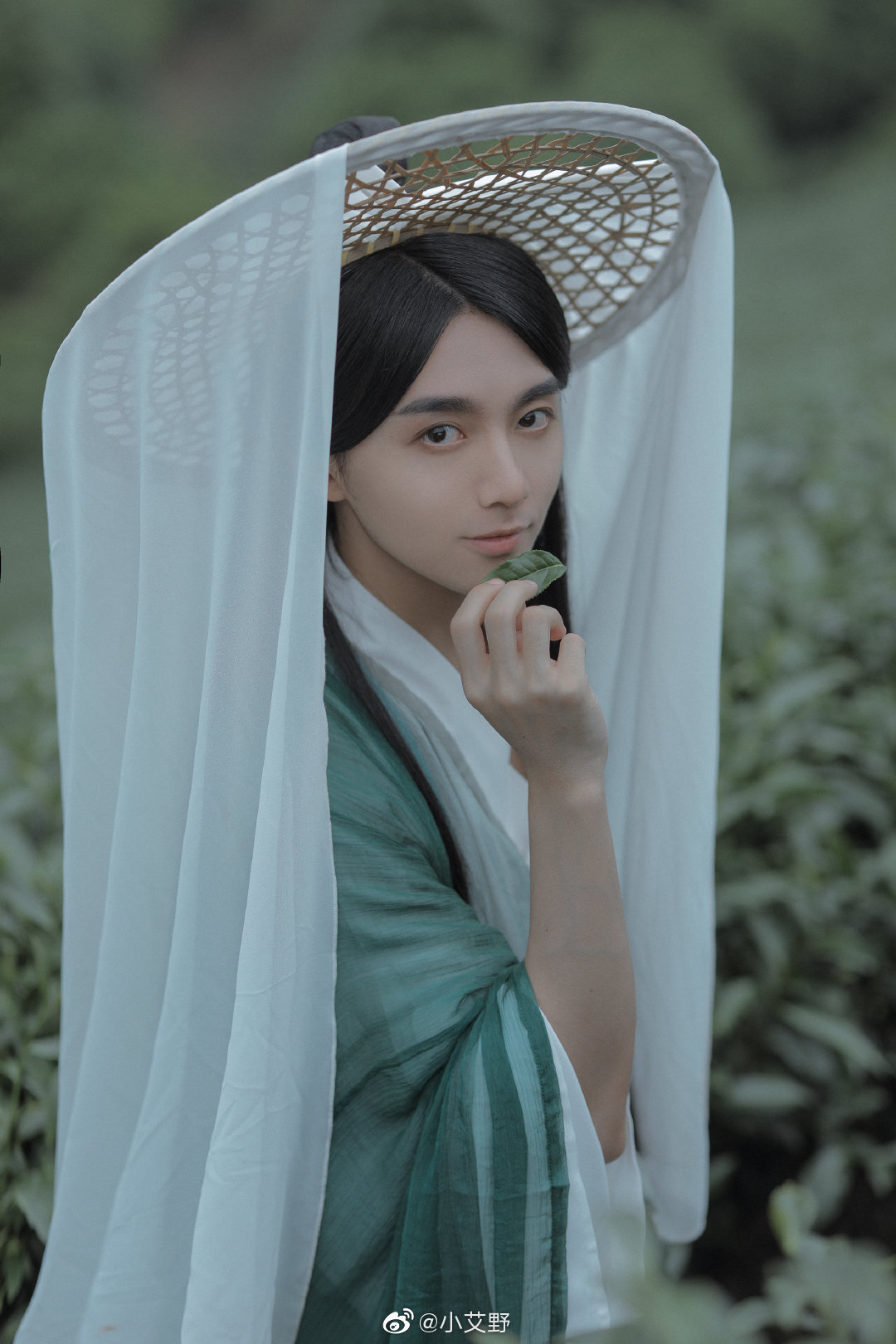 那年的夏天,那个采茶少年,一身青衫,背着竹楼,茶色的清瞳里