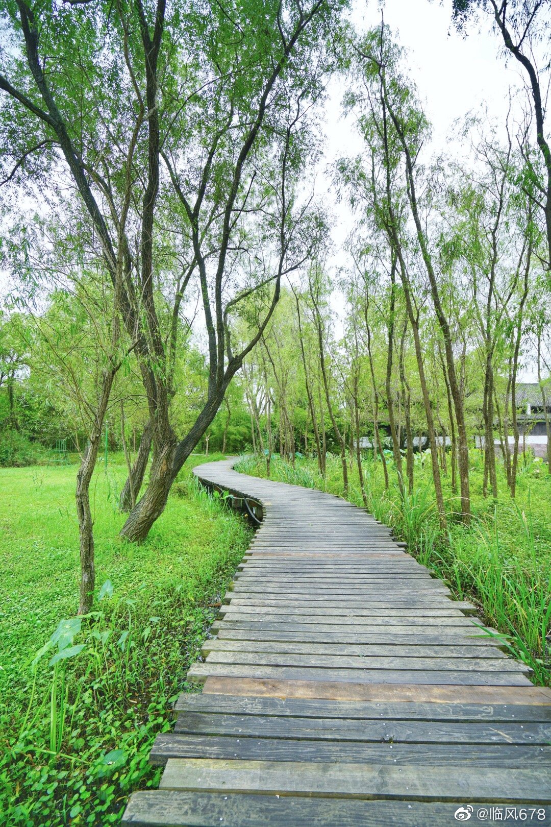 西溪国家湿地公园 - 中国旅游资讯网365135.COM