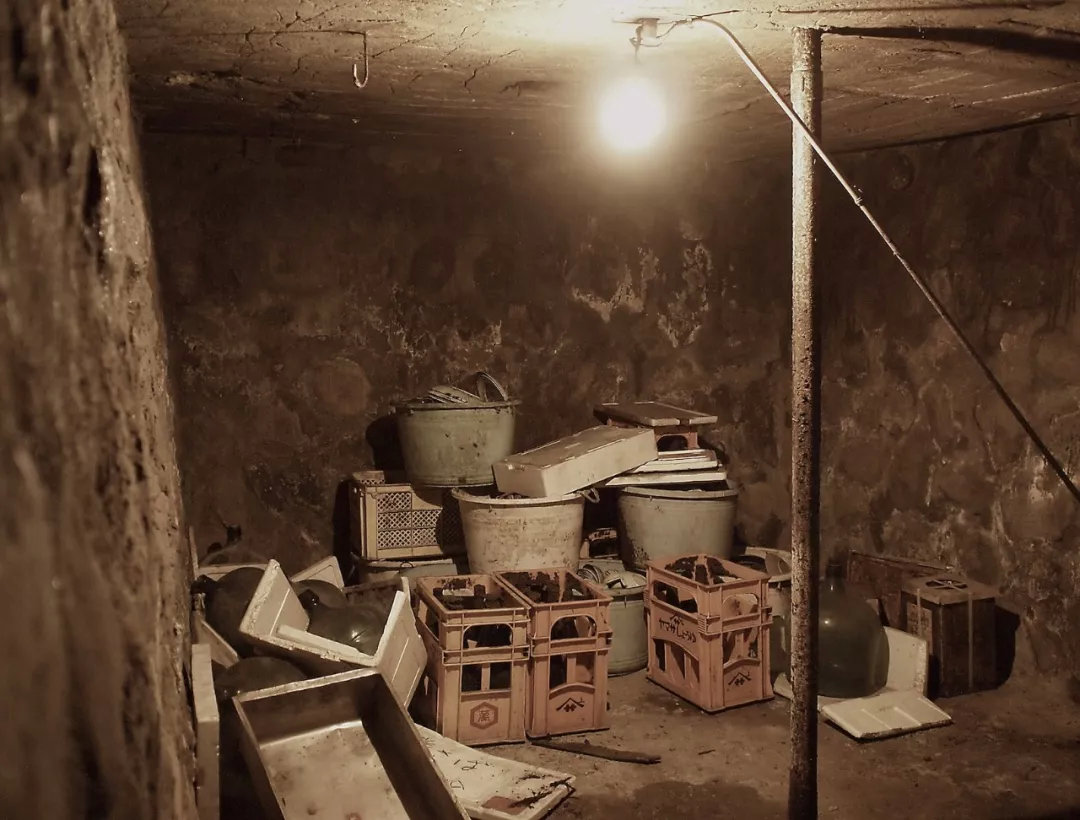 废弃的发霉水井,地窖,防空洞,变成了露天的灶台,冰箱,碗柜,酒窖和温室