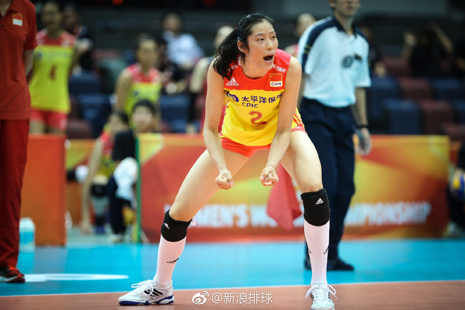 wood发布2018年按照搜索次数排名的排球运动员榜单,中国女排队长 力压