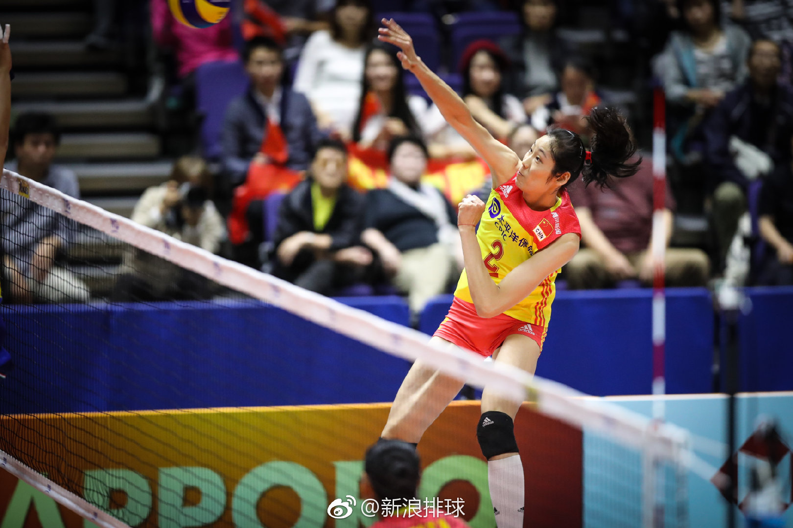 朱婷成外网排球运动员搜索次数之最|博斯科维奇|扎伊采夫|埃格_新浪