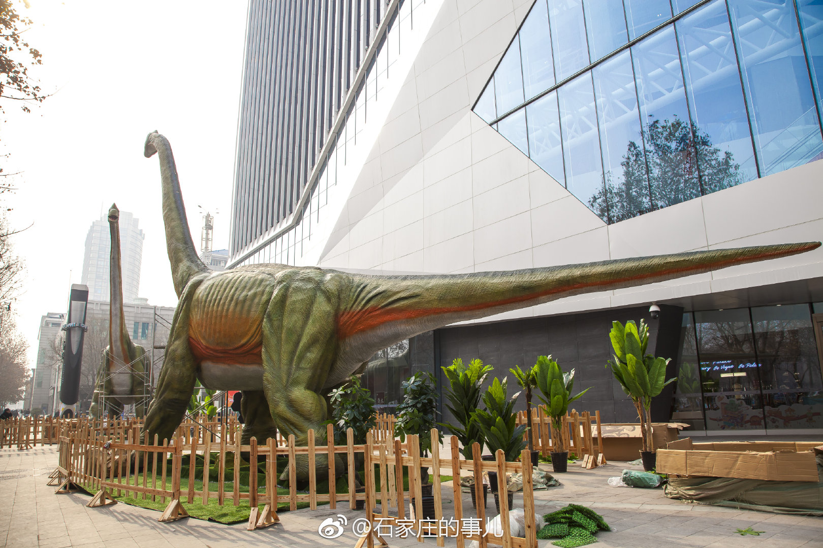 法米动物乐园近1000 可爱萌宠,零距离接触!