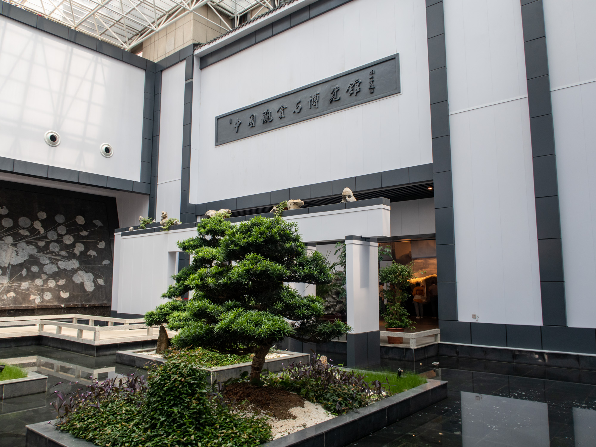 漫游常山中国观赏石博物馆珍奇宝石感知亿年