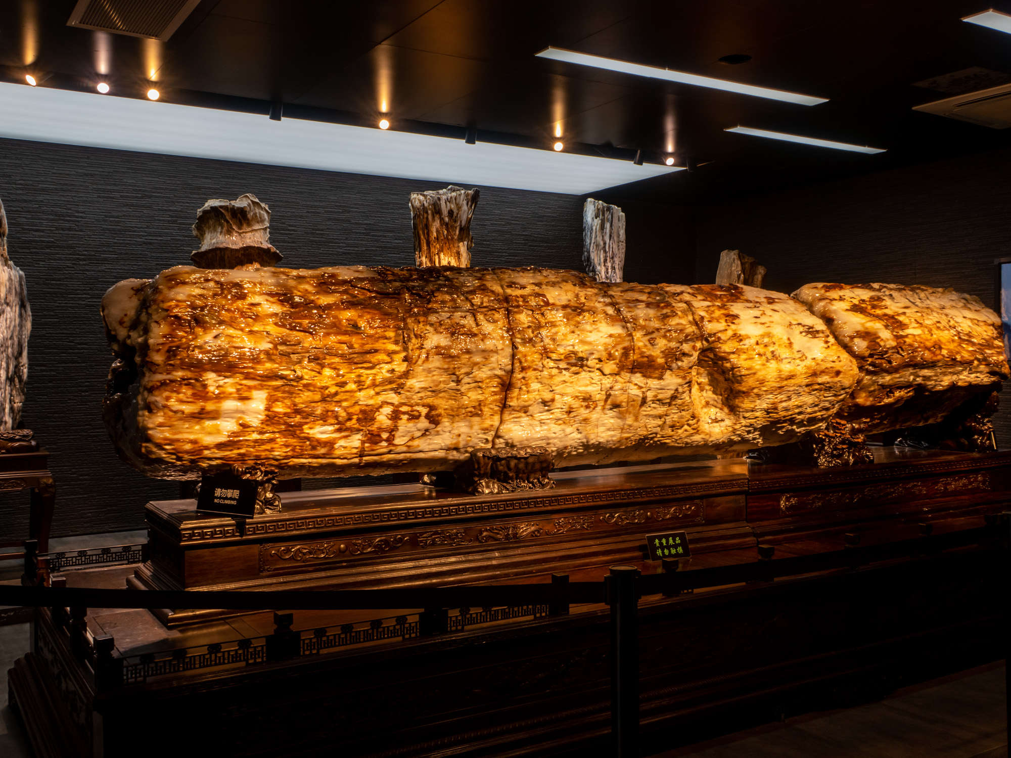 漫游常山中国观赏石博物馆珍奇宝石感知亿年