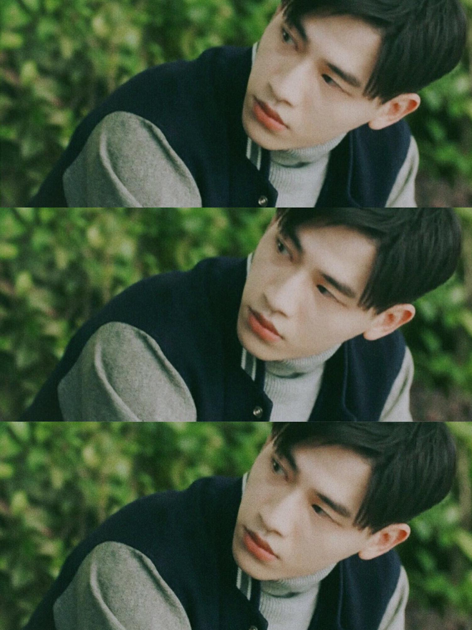 蒹葭倚玉树素素松下风陈桐辛云来这样干净温柔的男孩子