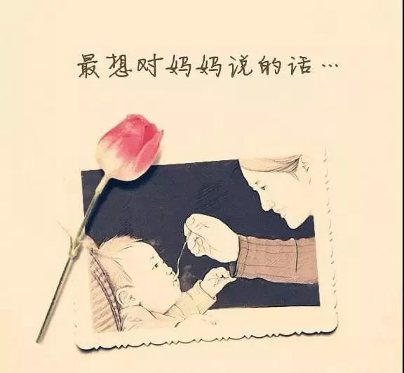 妈妈我爱你一句话一辈子一生情敬一杯龟龄集酒