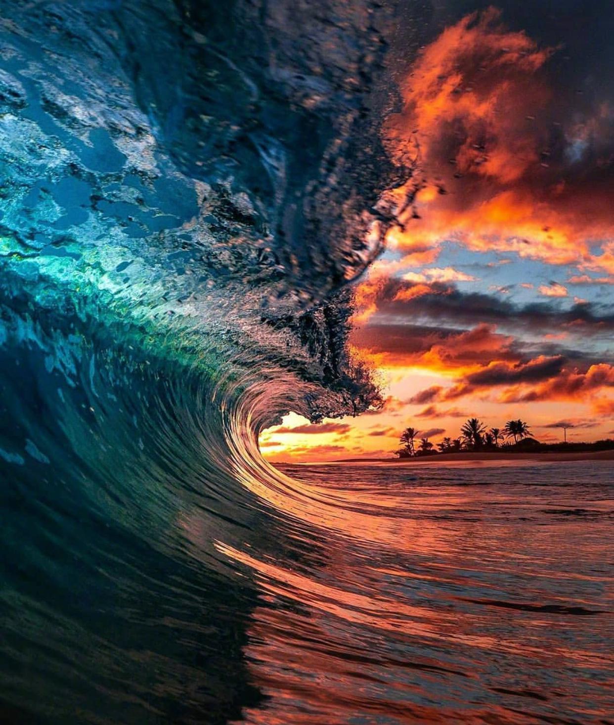 from南街小学毕业生夕阳海浪弄潮儿壮哉壮哉