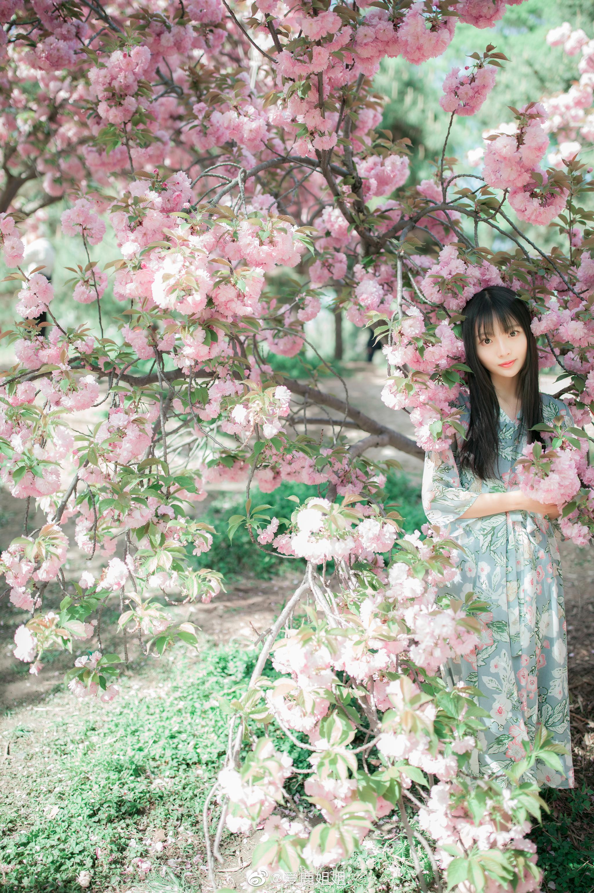 争花不带叶 争花不带叶