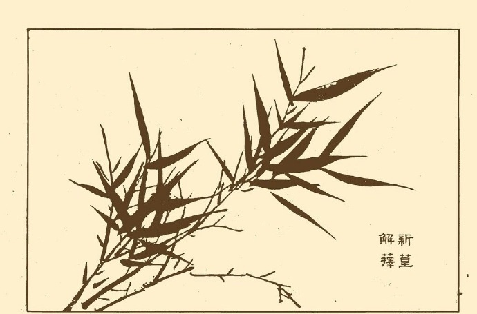 芥子园画谱之竹子的画法
