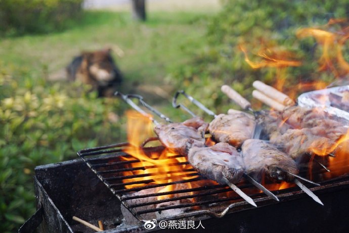 途居开沙岛露营地,在冬日的暖阳里烧烤吧