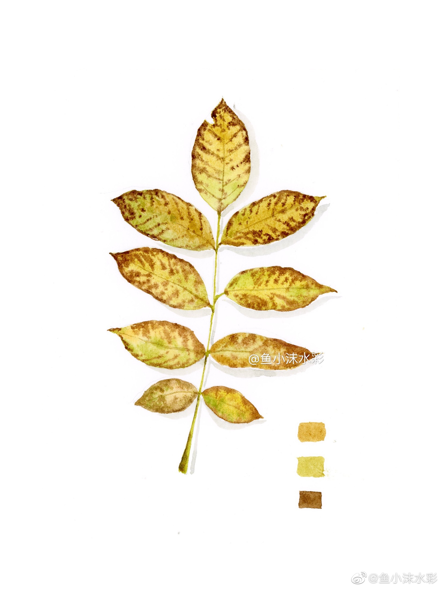 水彩画一画绚丽的树叶,你会喜欢吗
