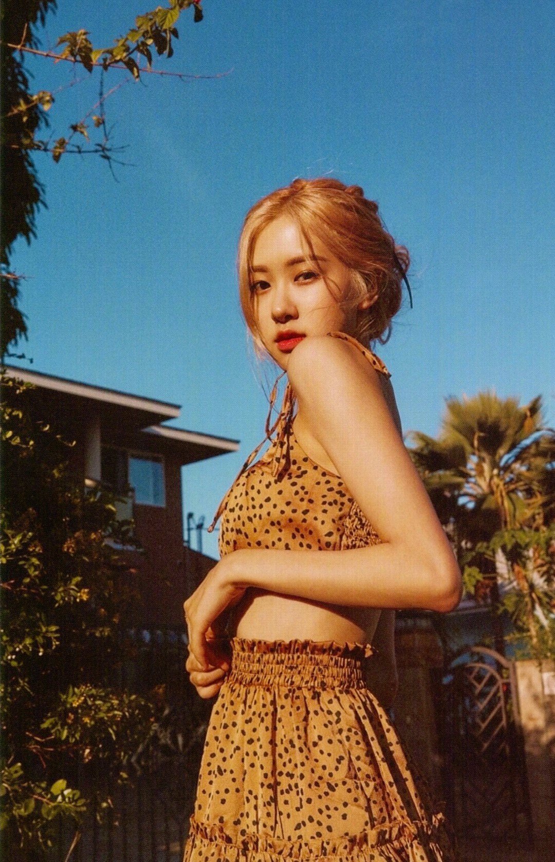 rose朴彩英澳洲野玫瑰夏威夷写真