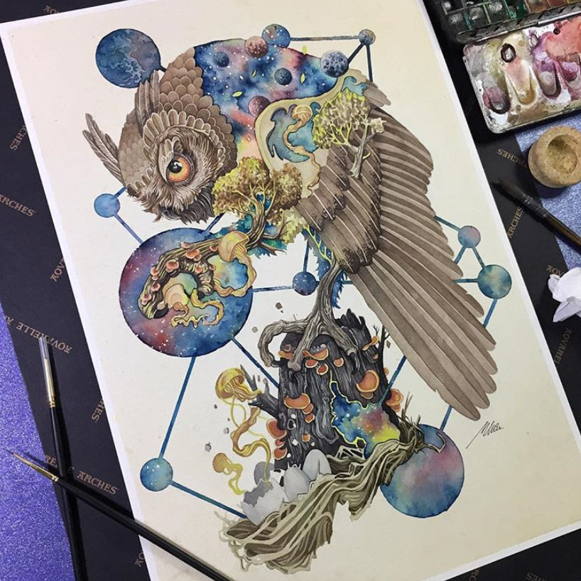 正统欧美风动物水彩插画