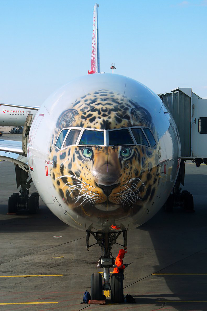 远东豹 boeing 777 俄罗斯为一架波音777-300宽体长途客机涂装最稀