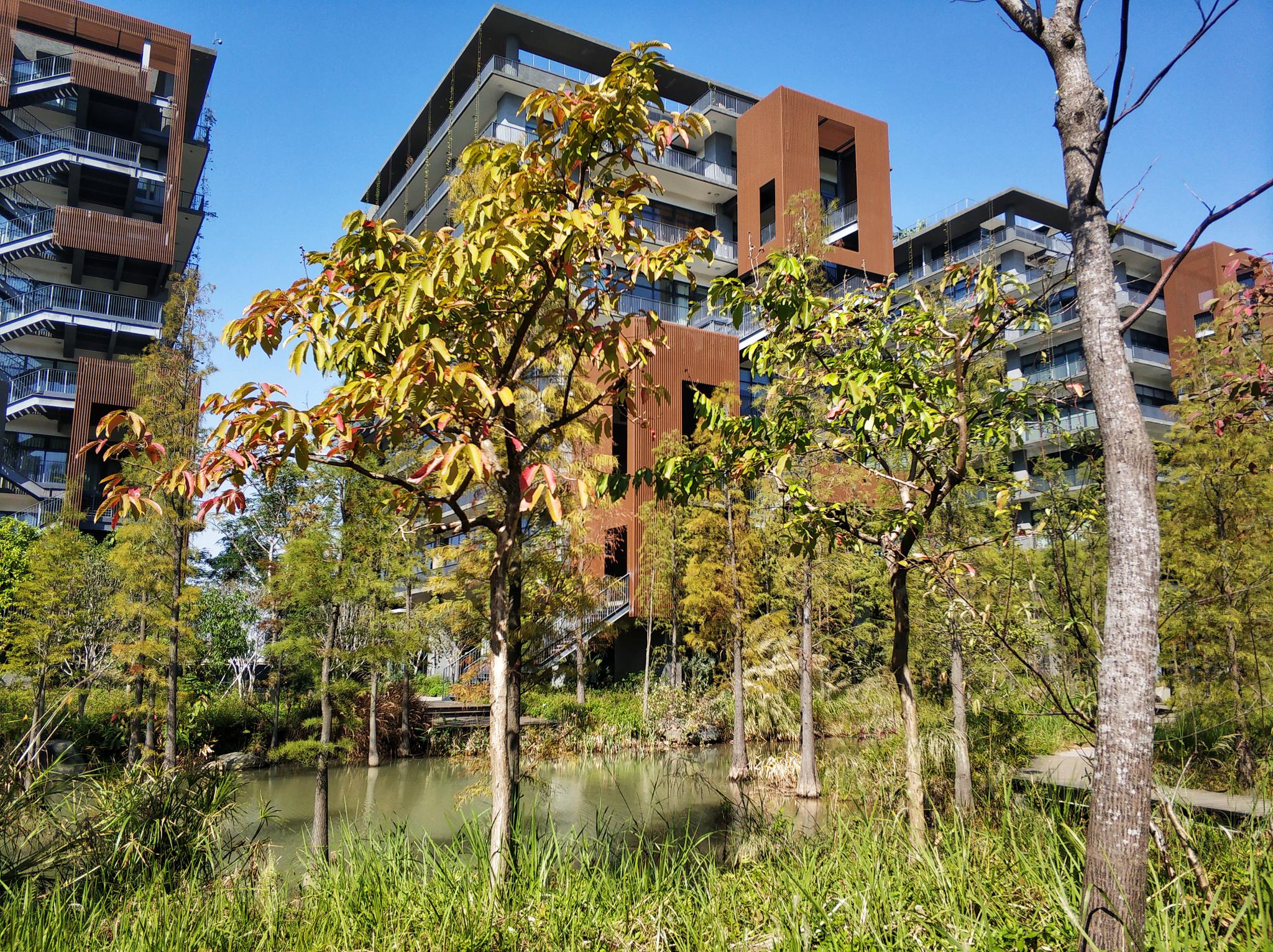 桐岛爱女网红被男友杀害抛尸?女生如何在感情中保护自己?