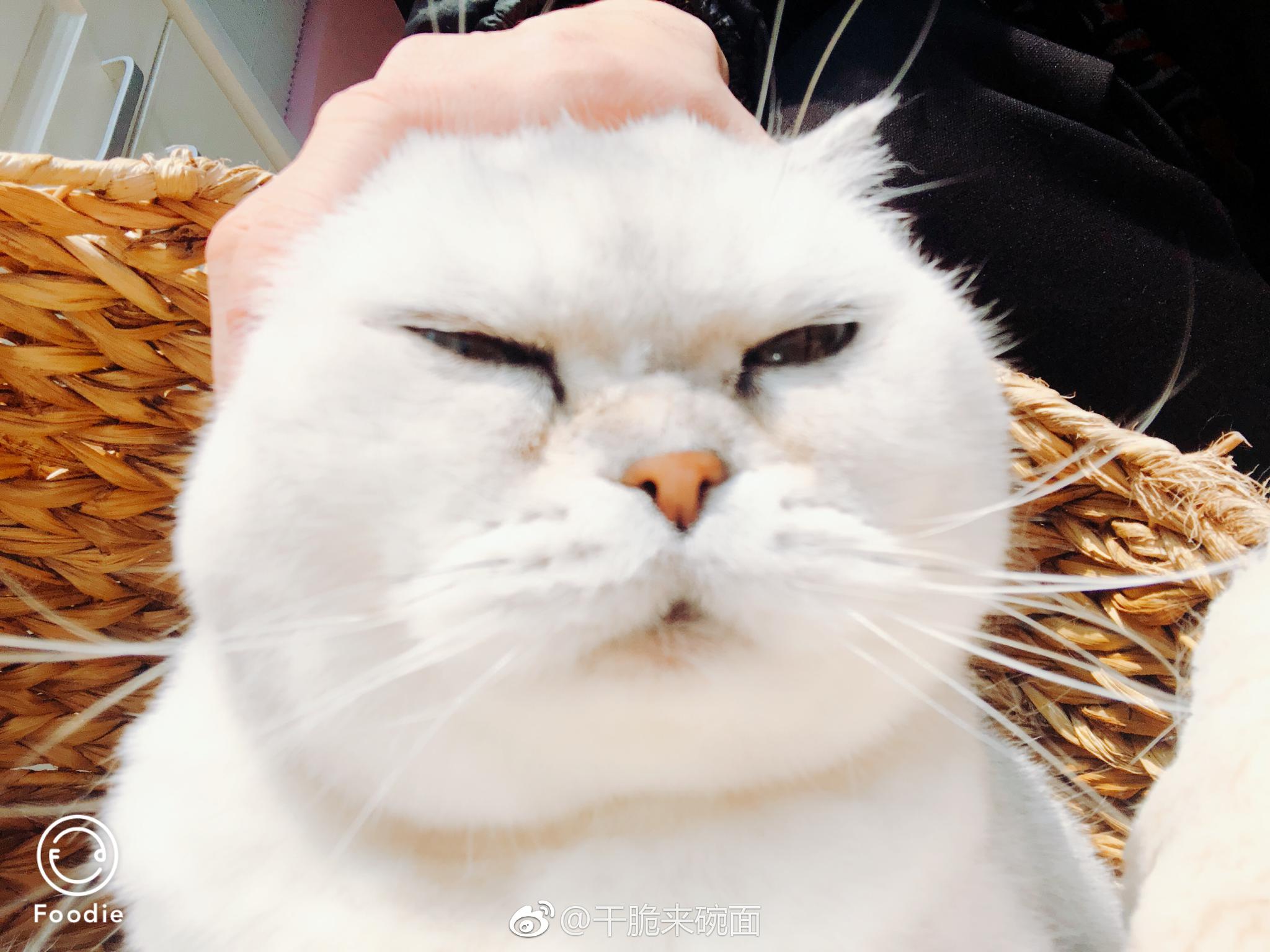 哈哈哈哈哈哈吃屁少女阿左和肥美少妇阿泡