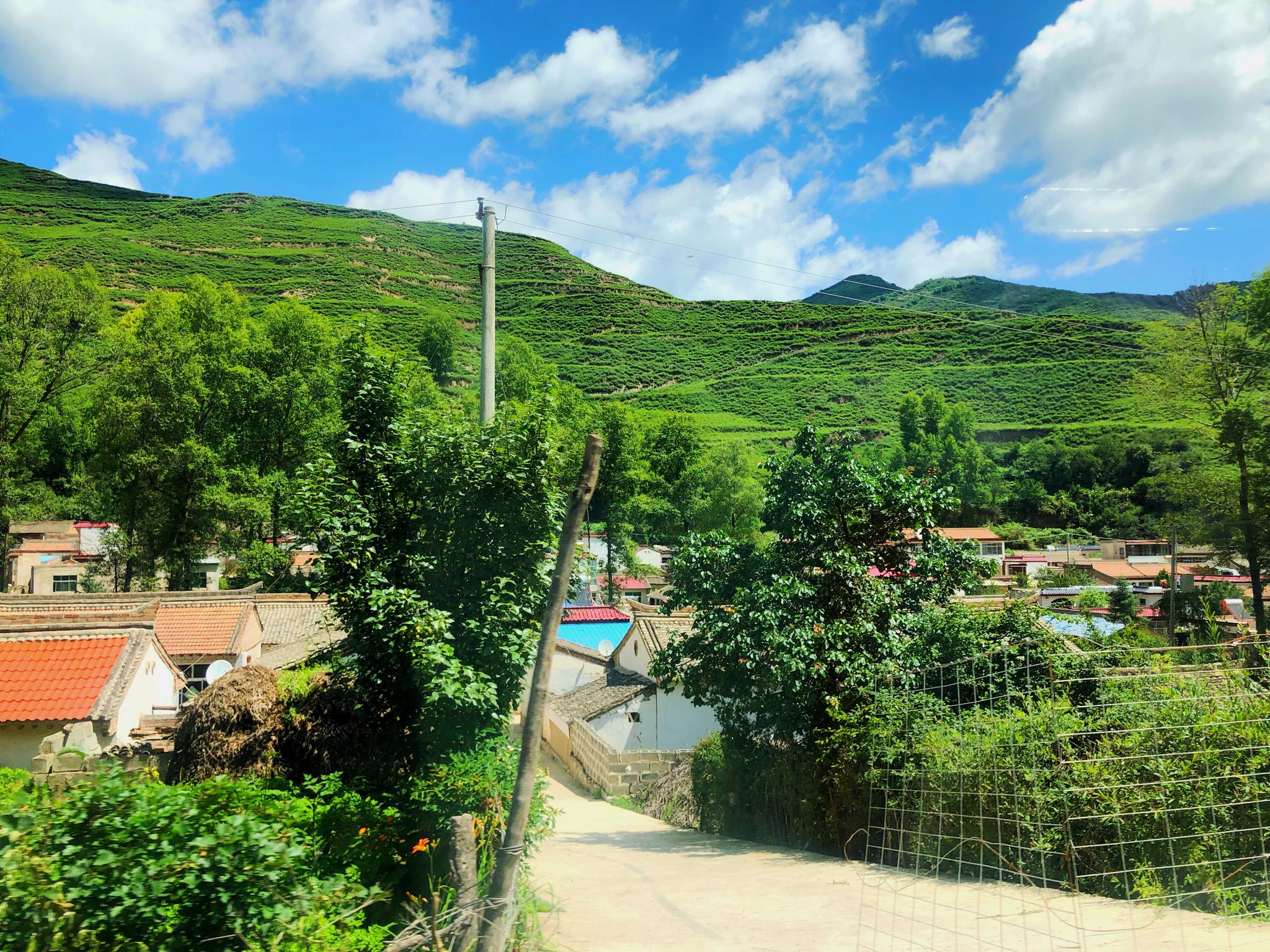 陇南地处秦巴山区,黄土高原,青藏高原的交汇区域,形成了高山峻岭与