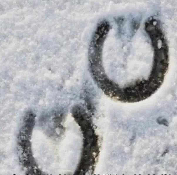 雪地上出现奇特"蹄印",神父看后断定这就是魔鬼脚印!