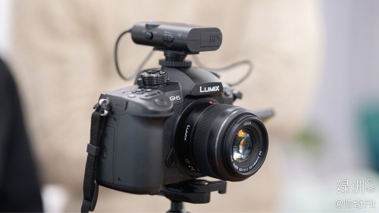 试用下松下gh5相机,挂着松徕的25 1.4 镜头