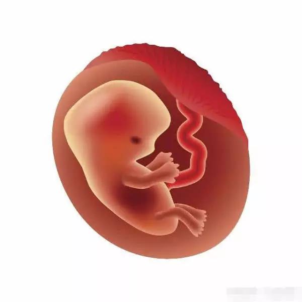 产后,"胎盘"如何处理好?这3种方法不妨了解下,别再盲目跟风