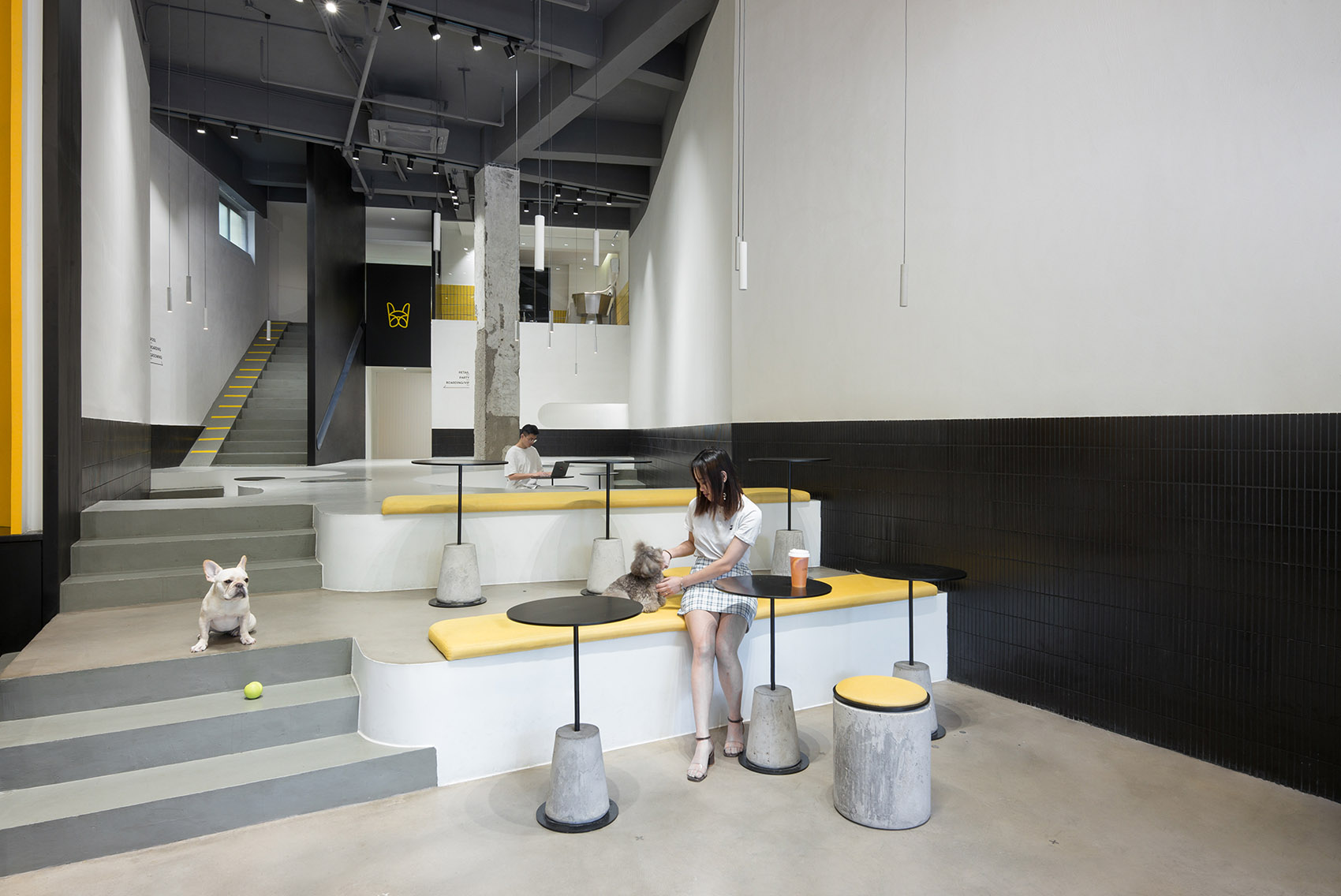 say architects 宠物咖啡店 一个宠物和主人同时社交的场所|宠物|咖啡